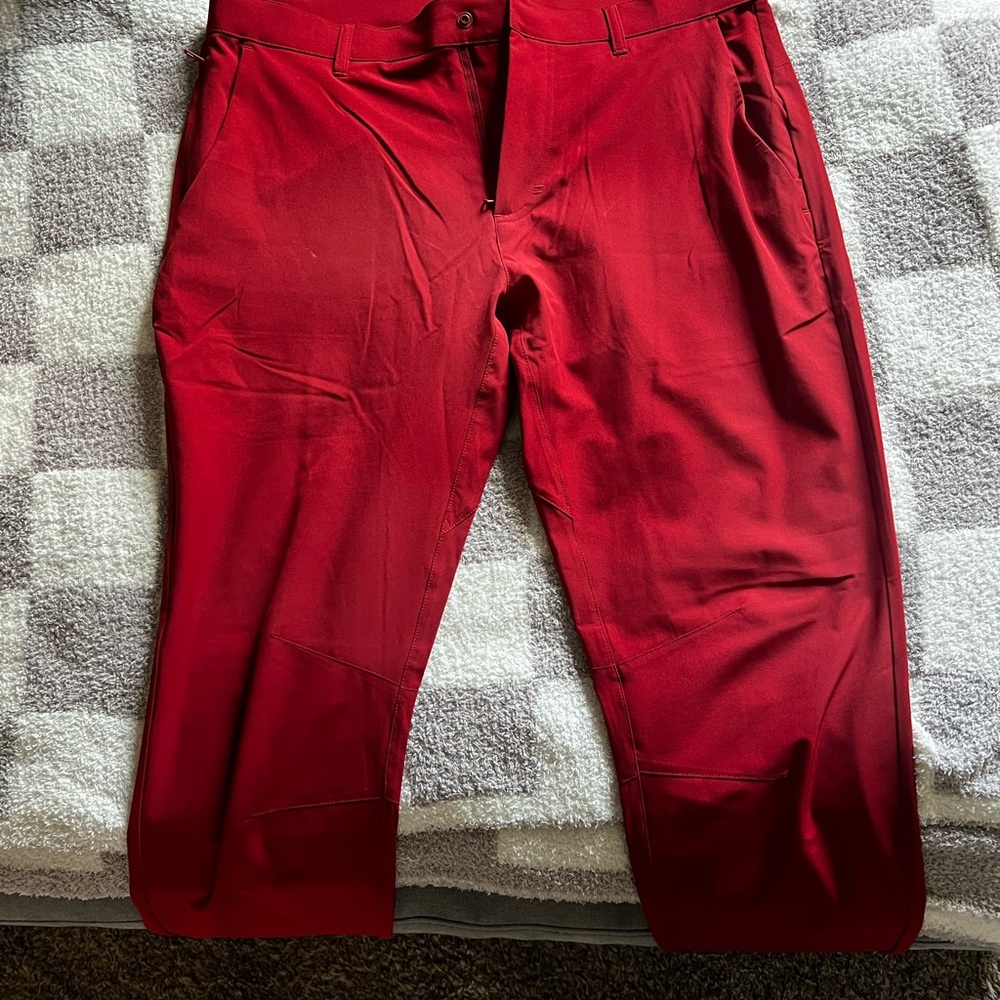 Fabletics Men's Red - The Only Pants